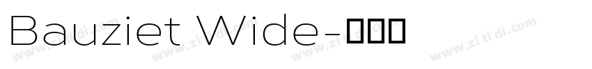 Bauziet Wide字体转换